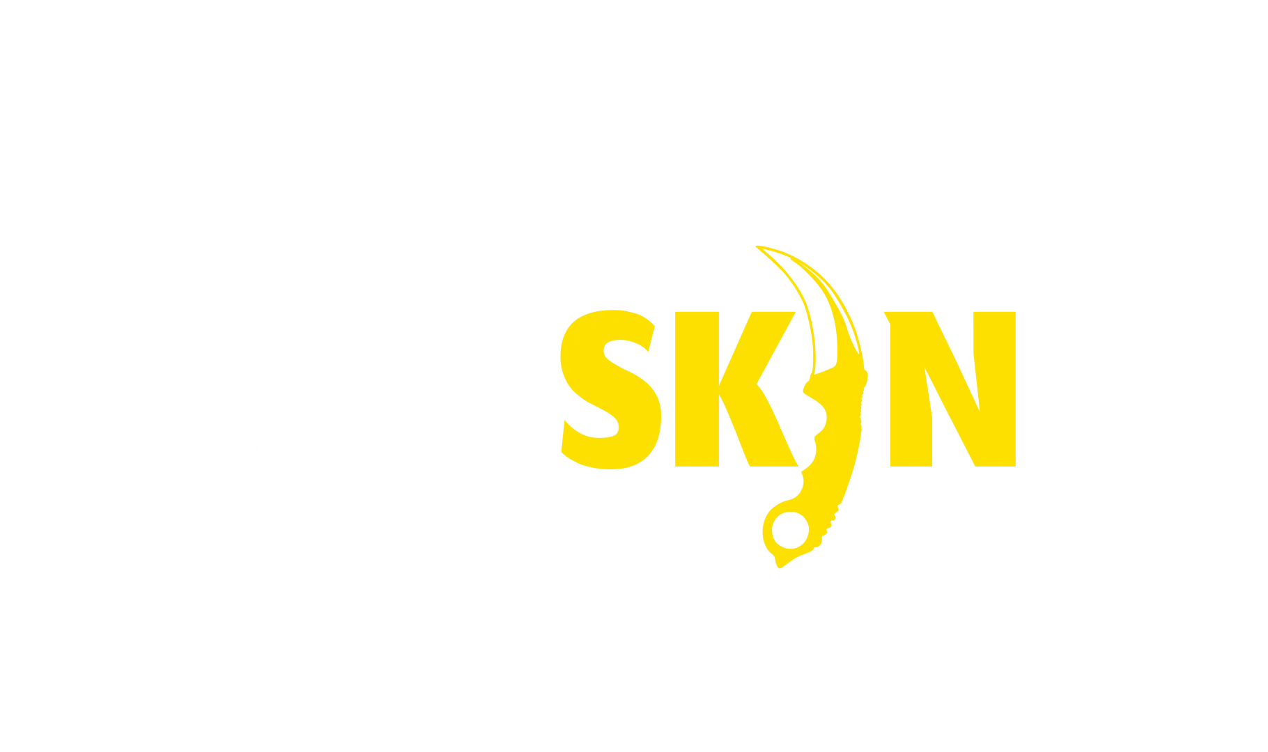cs2 skin